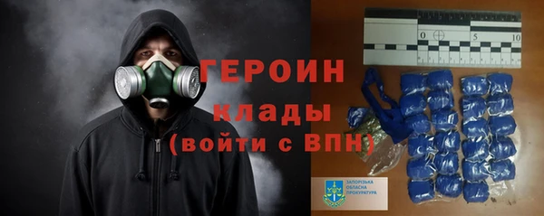 гашик Няндома
