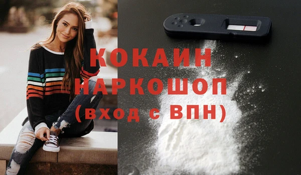 spice Алзамай