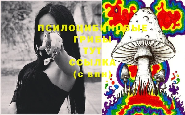 мефедрон мука Алексеевка
