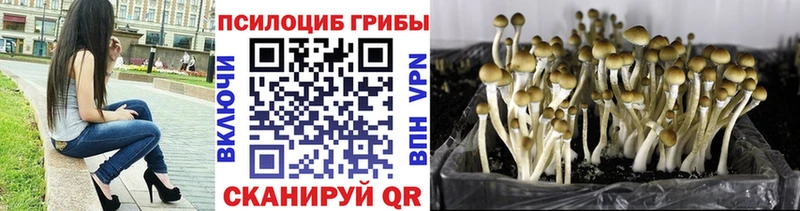 Галлюциногенные грибы GOLDEN TEACHER  Фролово 